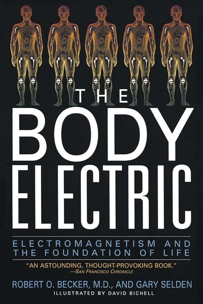 The Body Electric: Electromagnetism And The Foundation Of Life cover image