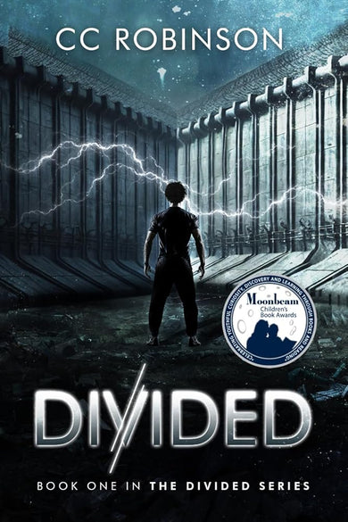 Divided: Book One in the Divided Series cover image